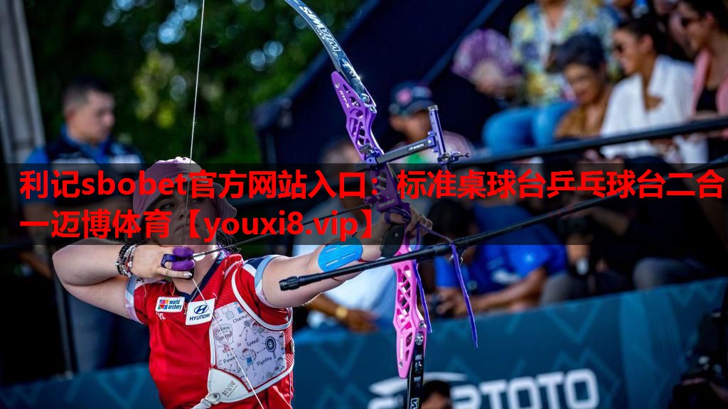 利记sbobet官方网站入口：标准桌球台乒乓球台二合一迈博体育