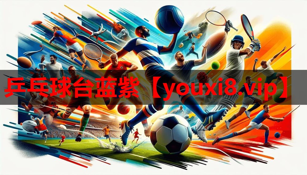 乒乓球台蓝紫 乒乓球台蓝紫