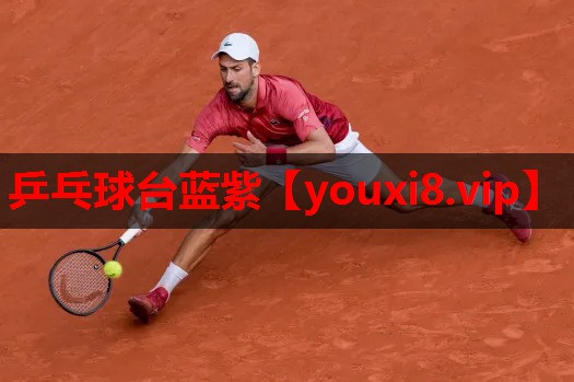乒乓球台蓝紫 乒乓球台蓝紫