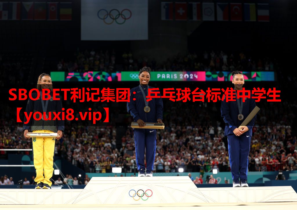 乒乓球台标准中学生 乒乓球台标准中学生