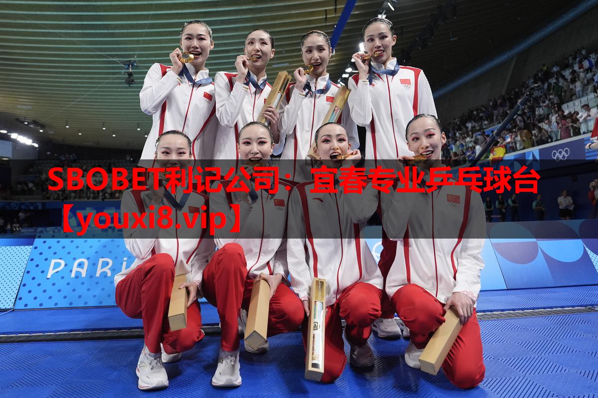 宜春专业乒乓球台